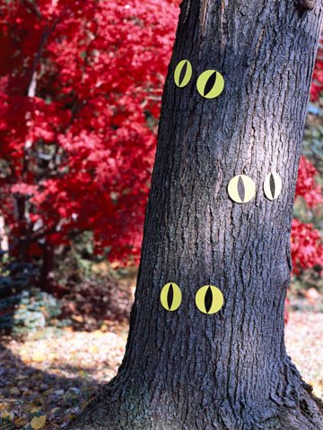 Glowing Halloween eyes on tree