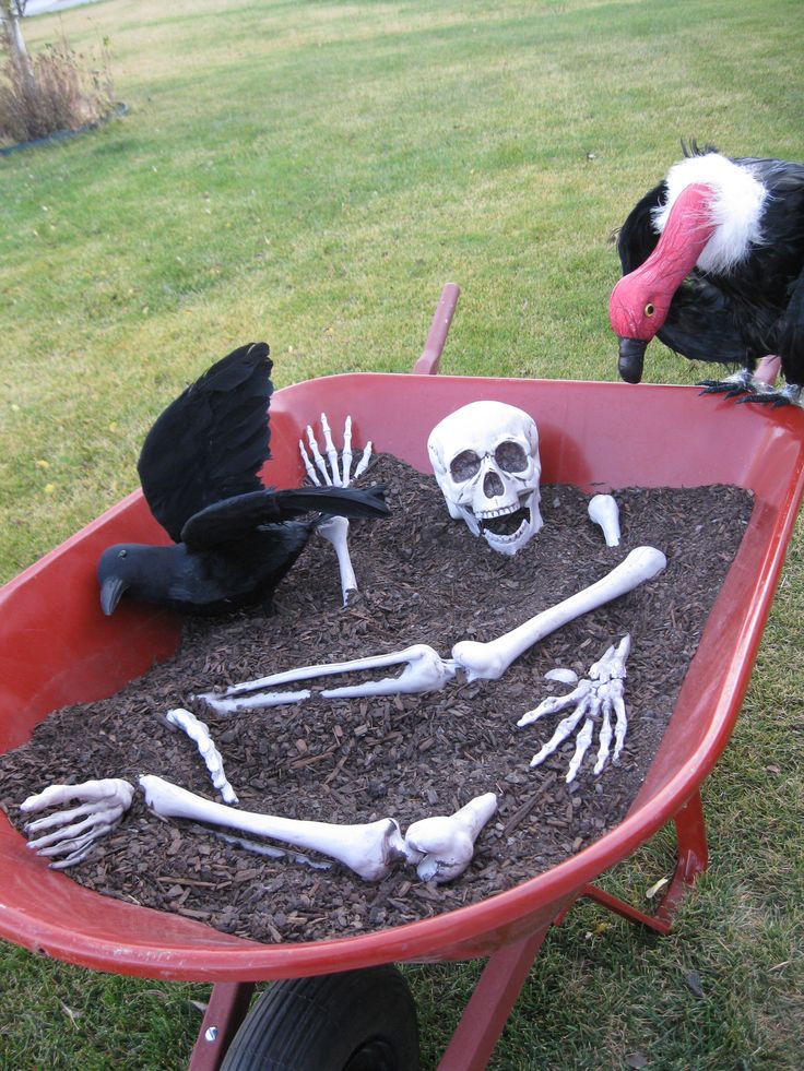 Wheelbarrow of Bones