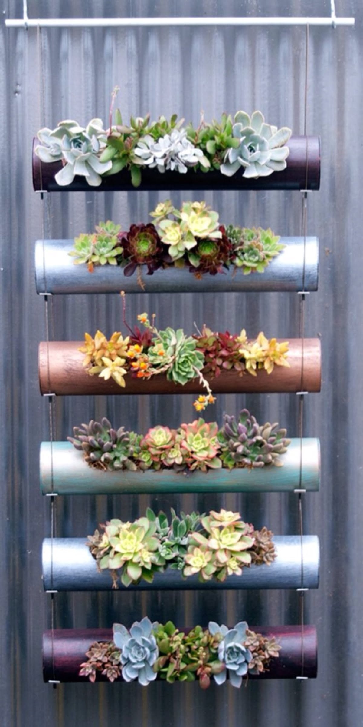 A Sleek, Modern Vertical Garden