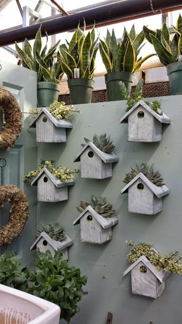 A Garden for the Birds