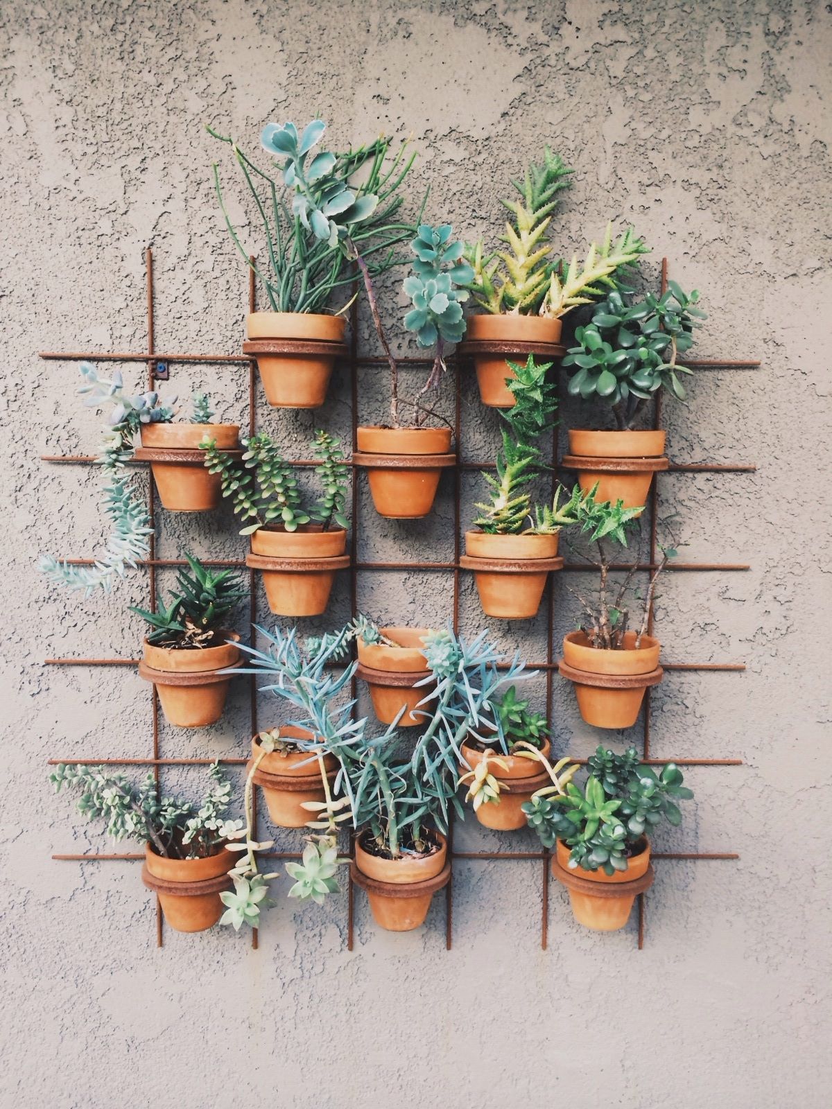 A Vertical Garden Idea for Small Spaces