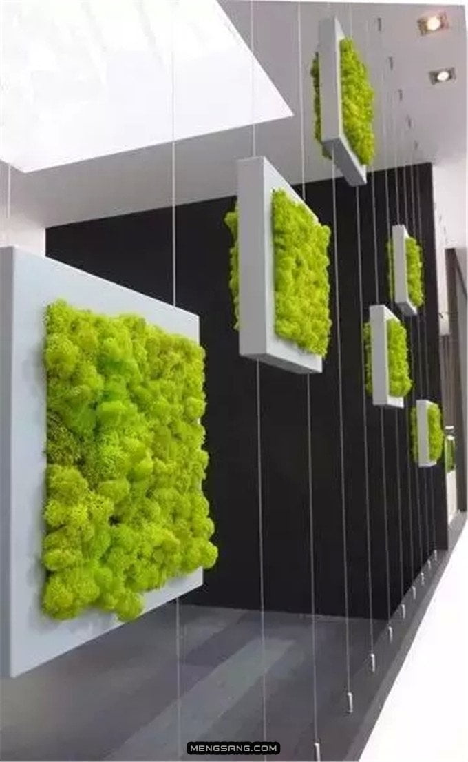 A Vertical Garden With Distinctive Sophistication