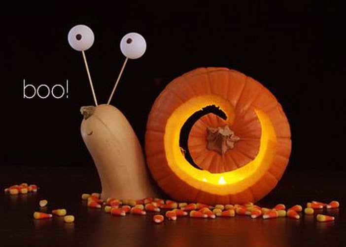 Snail ‘in Pumpkin