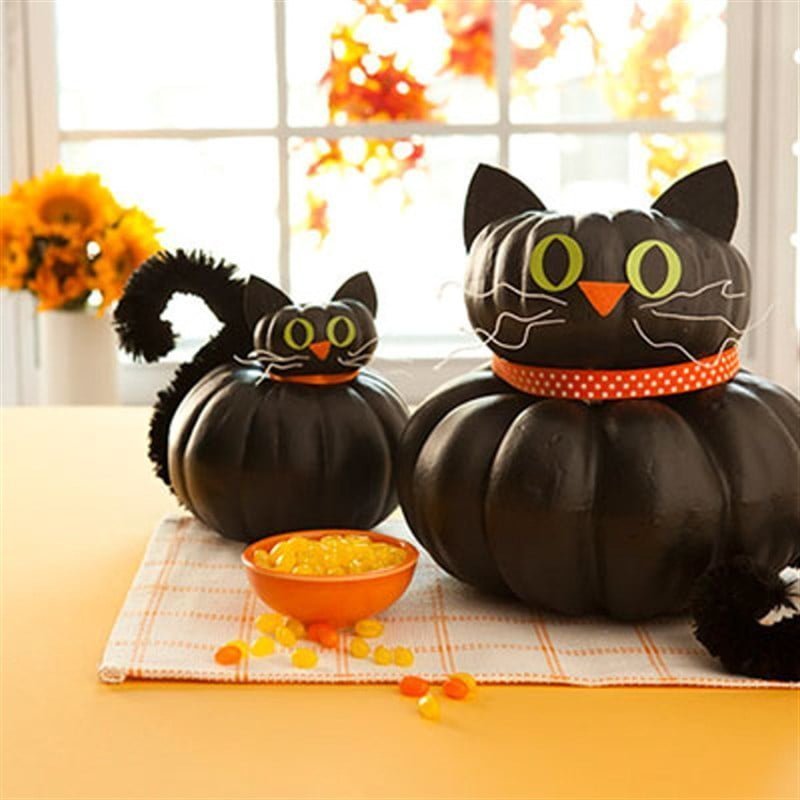 Cat-Shaped Pumpkin Merges Tradition