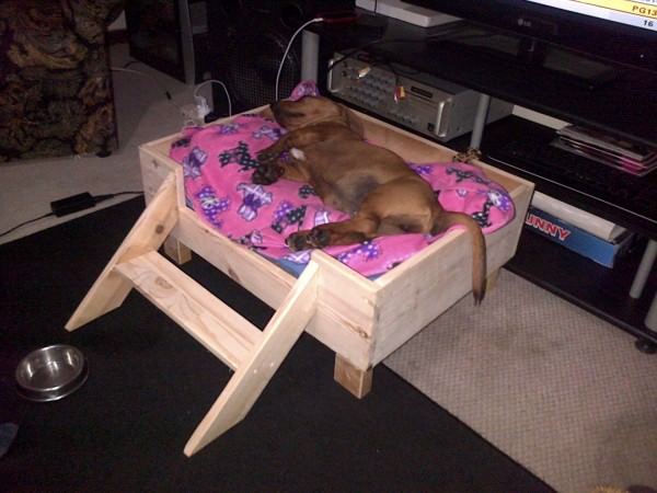 Easy to Build Raised Dog Bed with Step