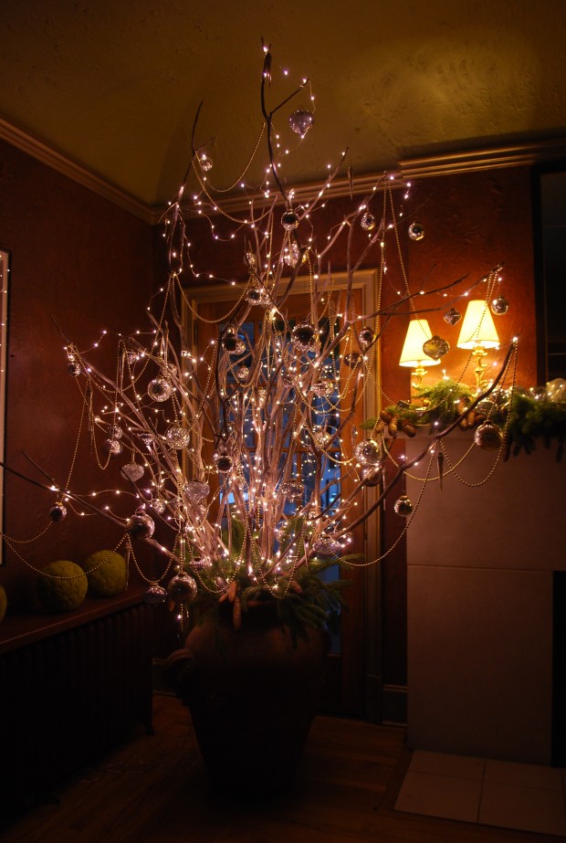 Bare Branch Tree of Lights