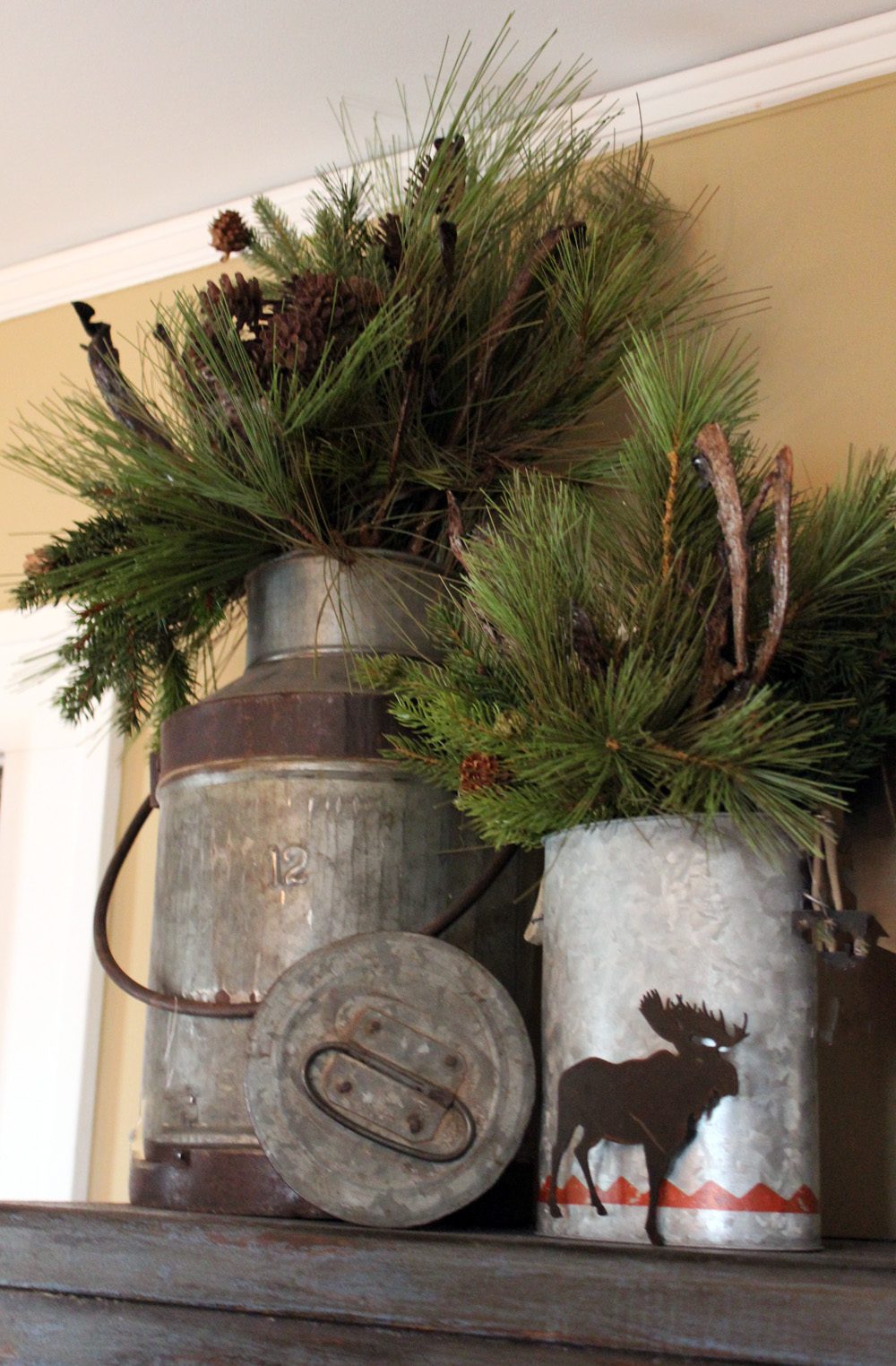 Pine Arrangement in a Milk Jug