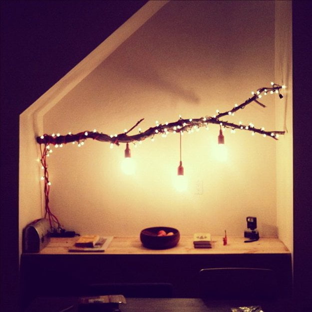 Tree Branch with Hanging Lights