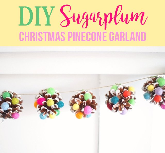 Sugarplums and Pine Cones