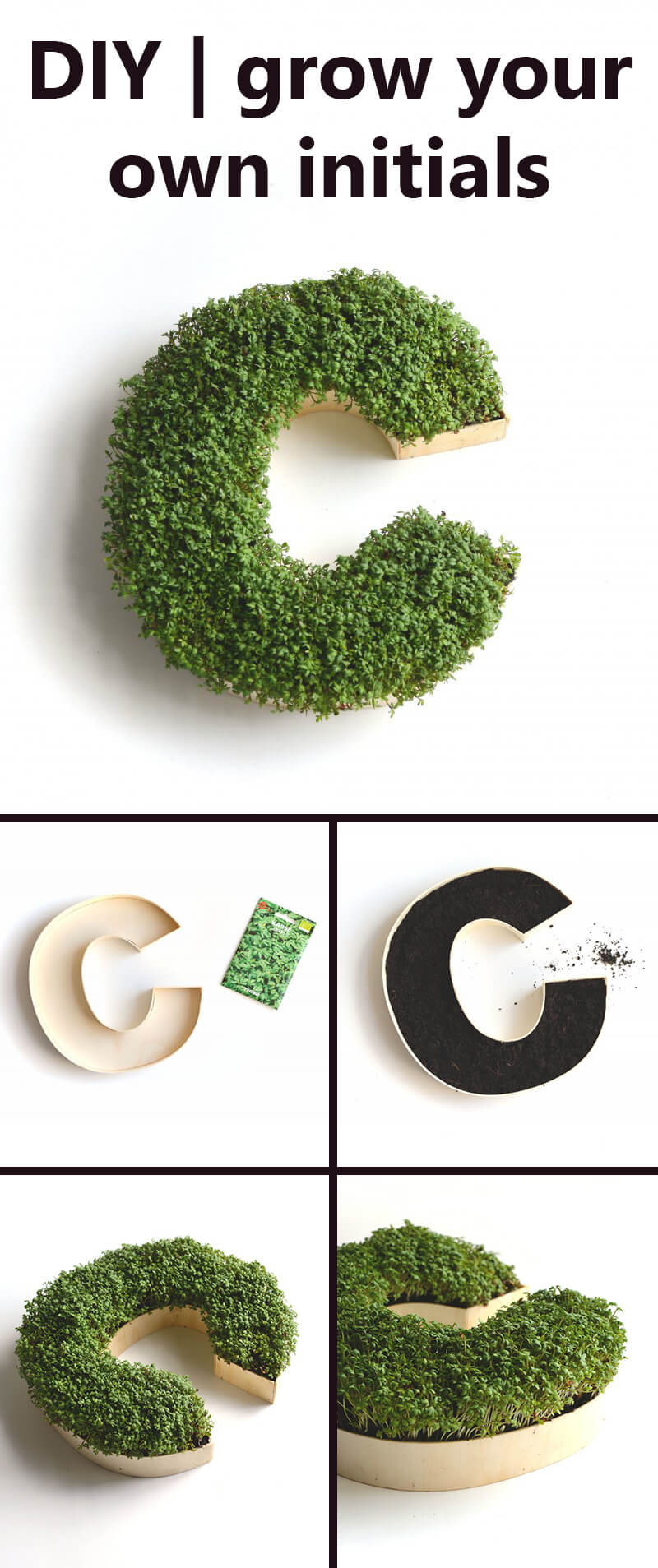 Go Green With a Living Monogram