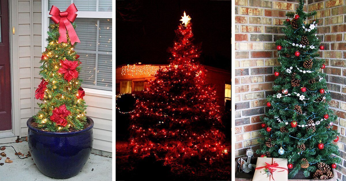 Featured image for “22 Charming Outdoor Christmas Tree Decorations You Must Try this Year”