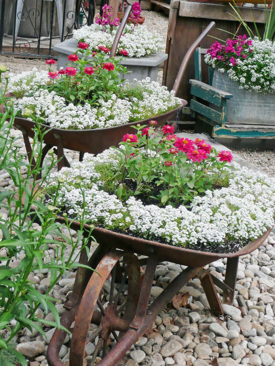 Rusty Vintage Wheelbarrow Flower Planters