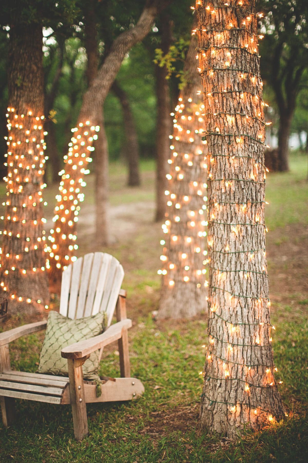 String Lights Wrapped Around Backyard Trees