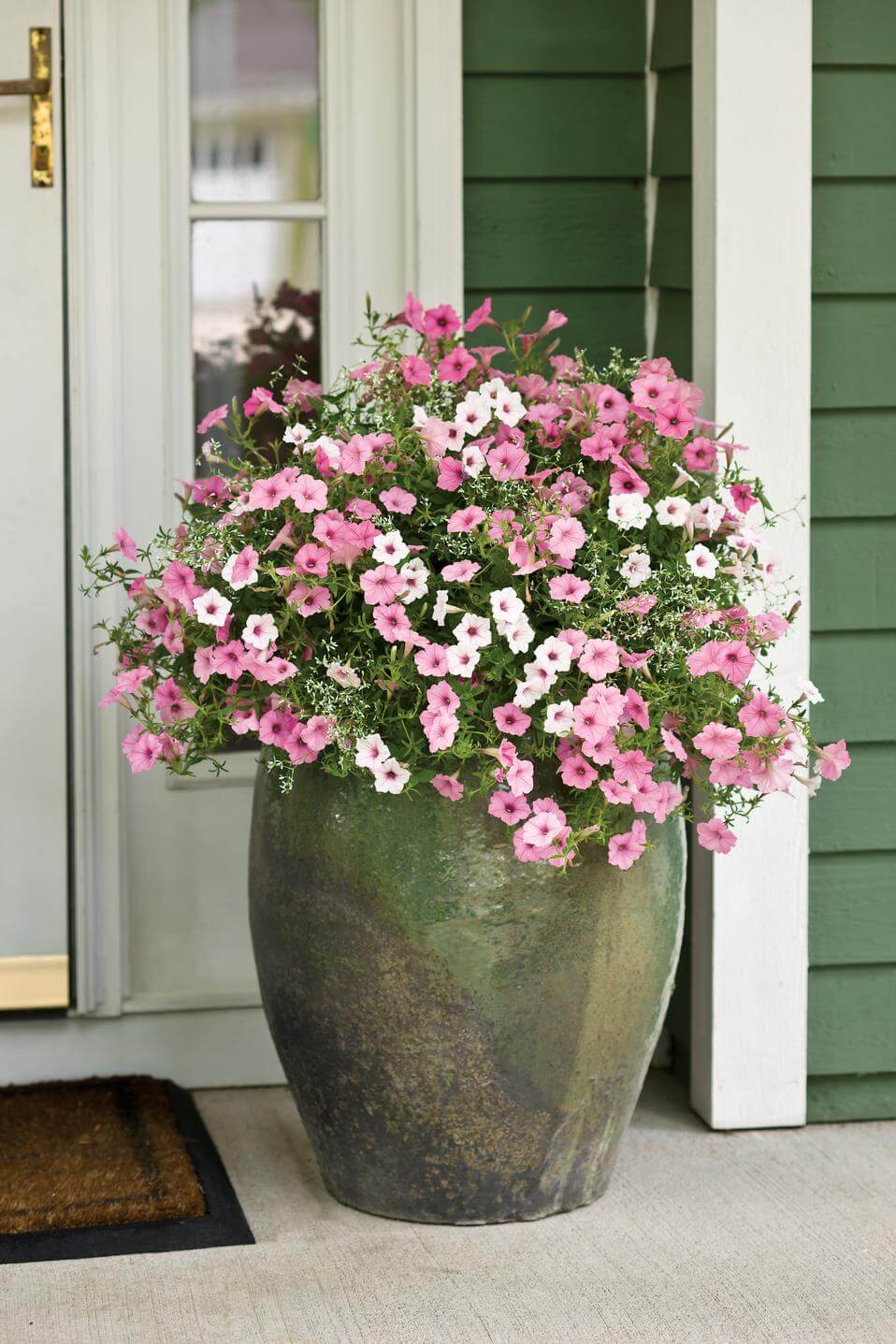 Giant Clay Front Door Flower Pot Design