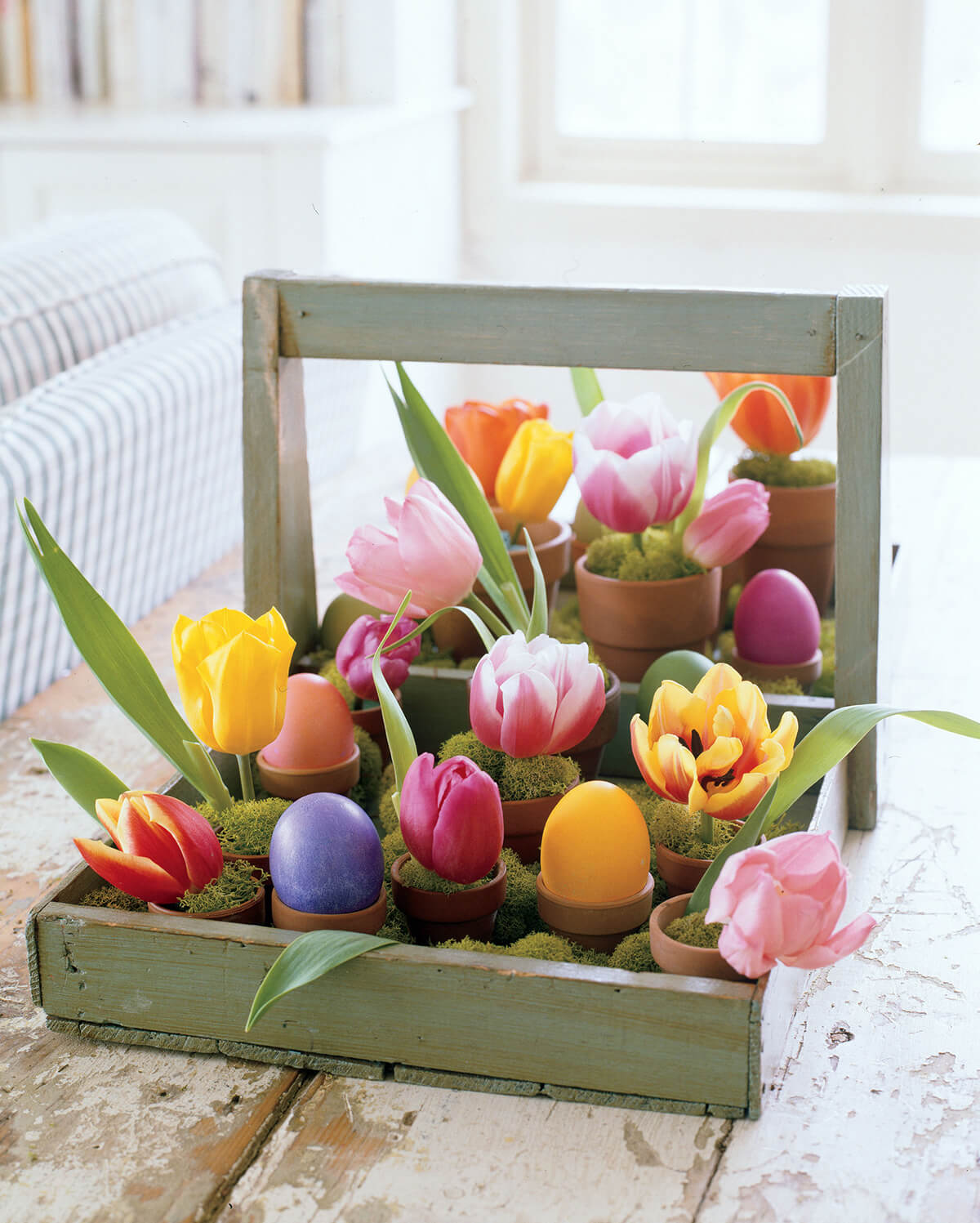 Easter Tray of Potted Eggs and Spring Bulbs