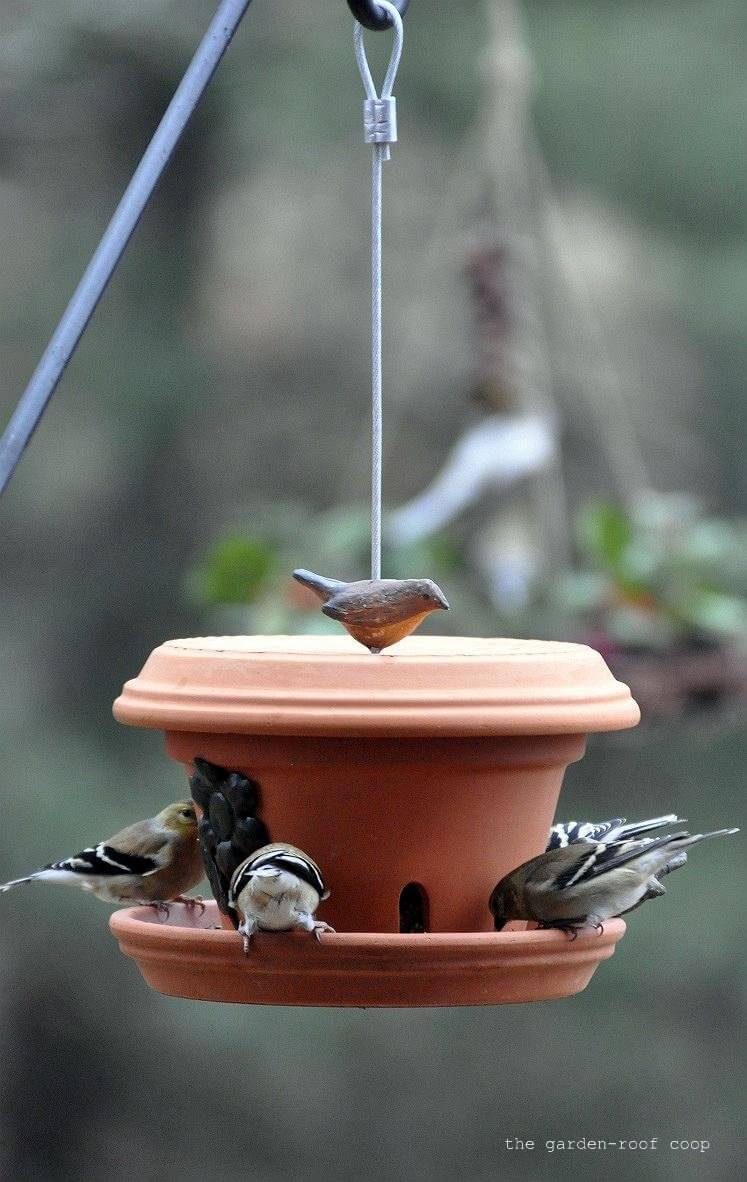 Homemade Flower Pot Bird Feeder