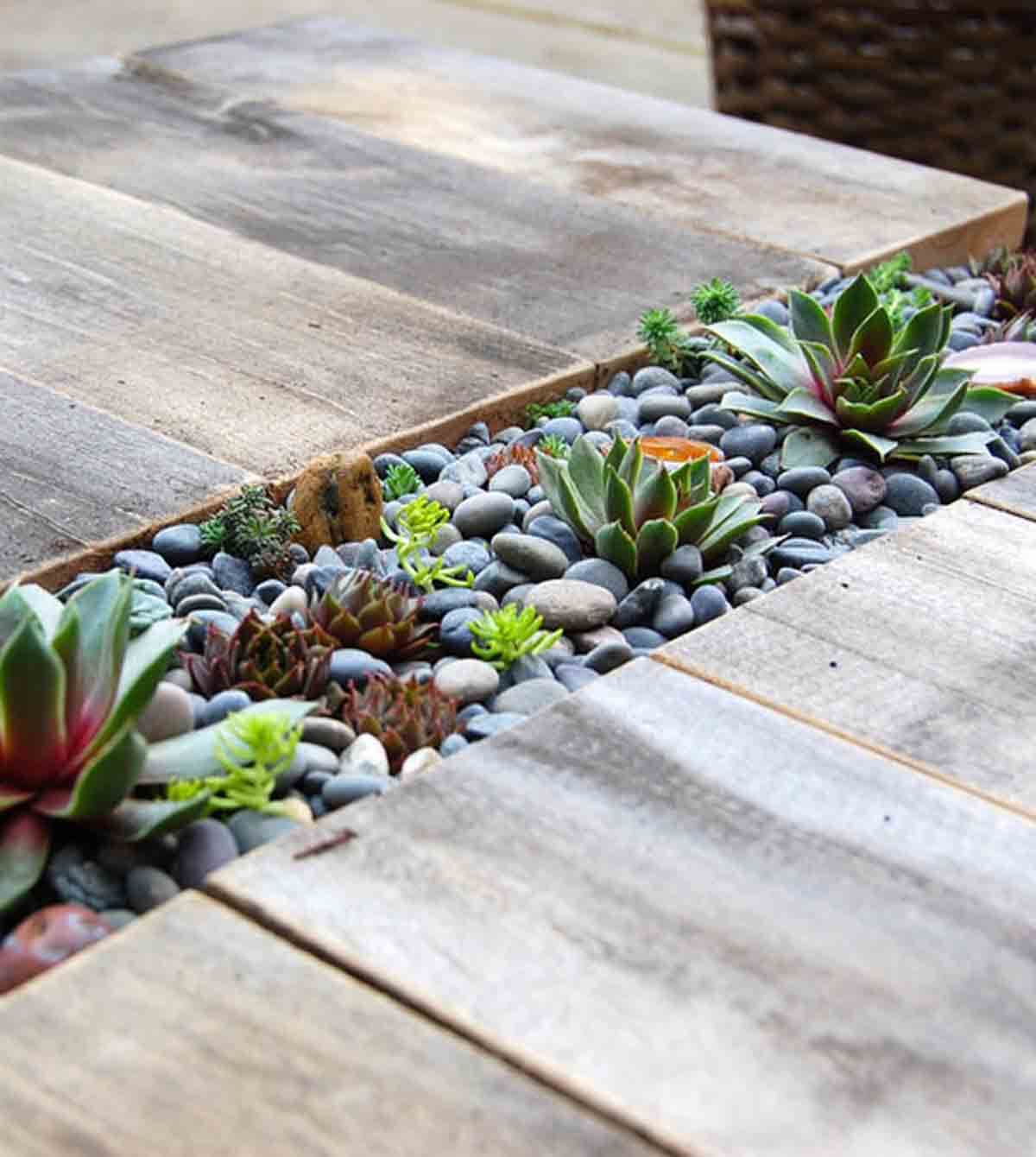 Built-In Rock Garden for Succulents