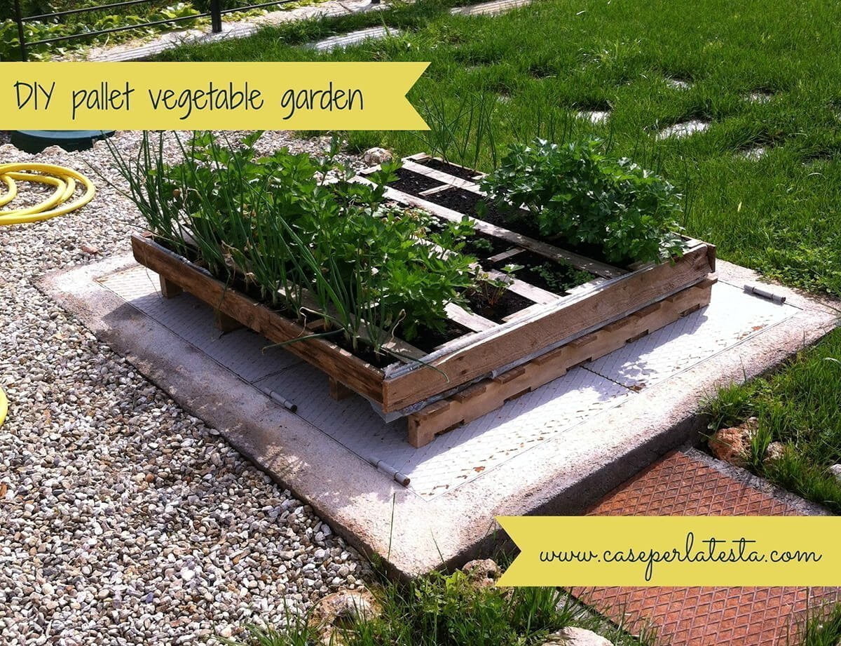 DIY Wood Pallet Vegetable Garden