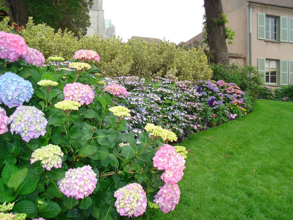 Flower Bed for Small Yards