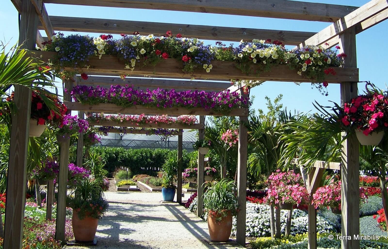 Botanical Promenade Pergola With Planter Implements