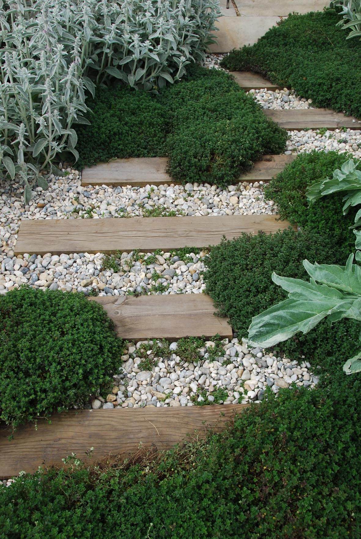 Rustic Wood And Stone Accented With Thyme