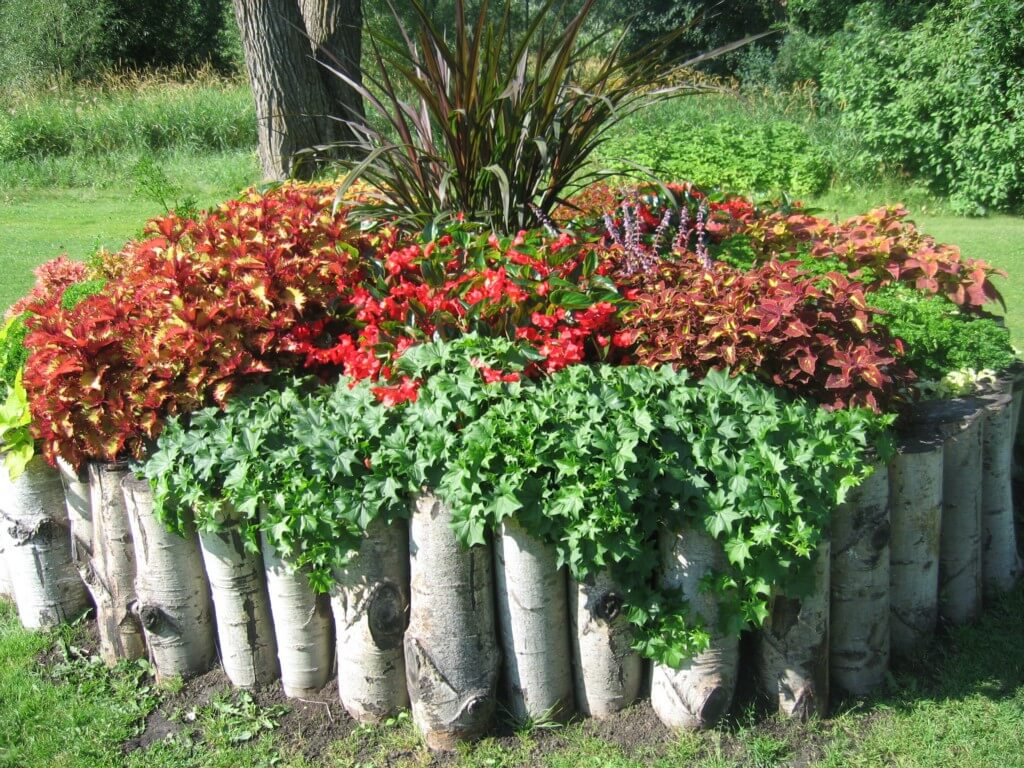 Pretty Birch Log Plant Bed