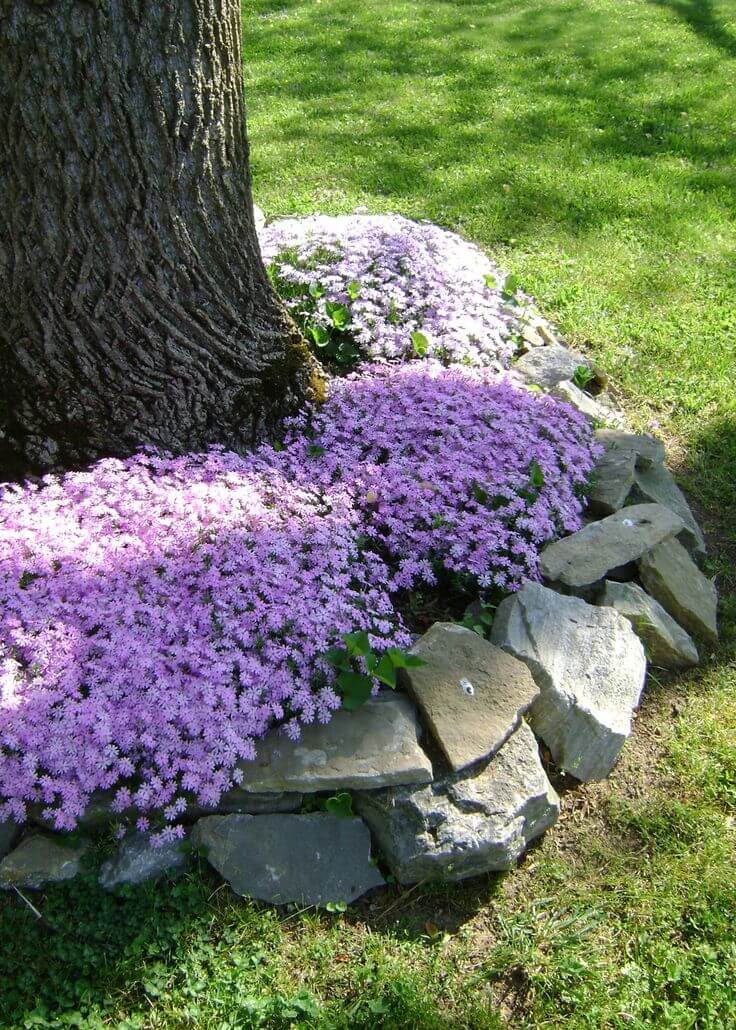 Sweet and Rustic Stone Edged Flowerbed