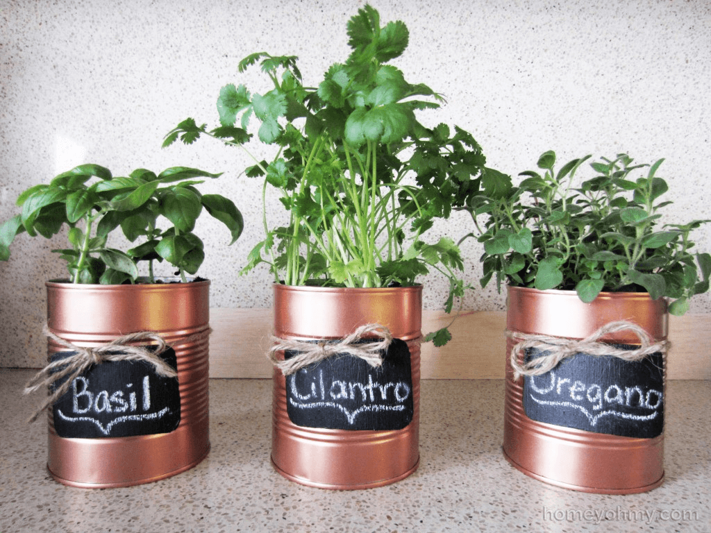 A Rustic Look for Your Herb Garden