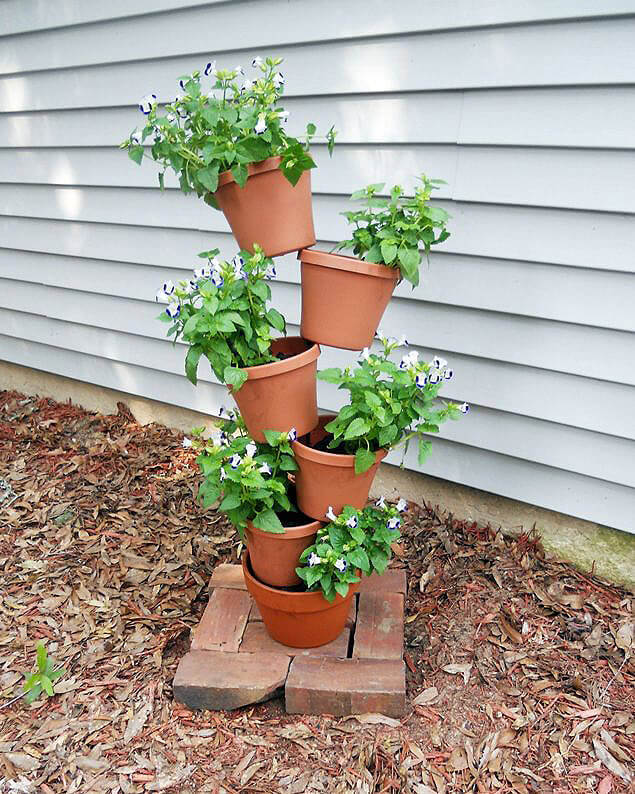 Precarious Pots of Fabulous Flowers