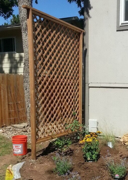 Basic Climbing Lattice and Privacy Wall