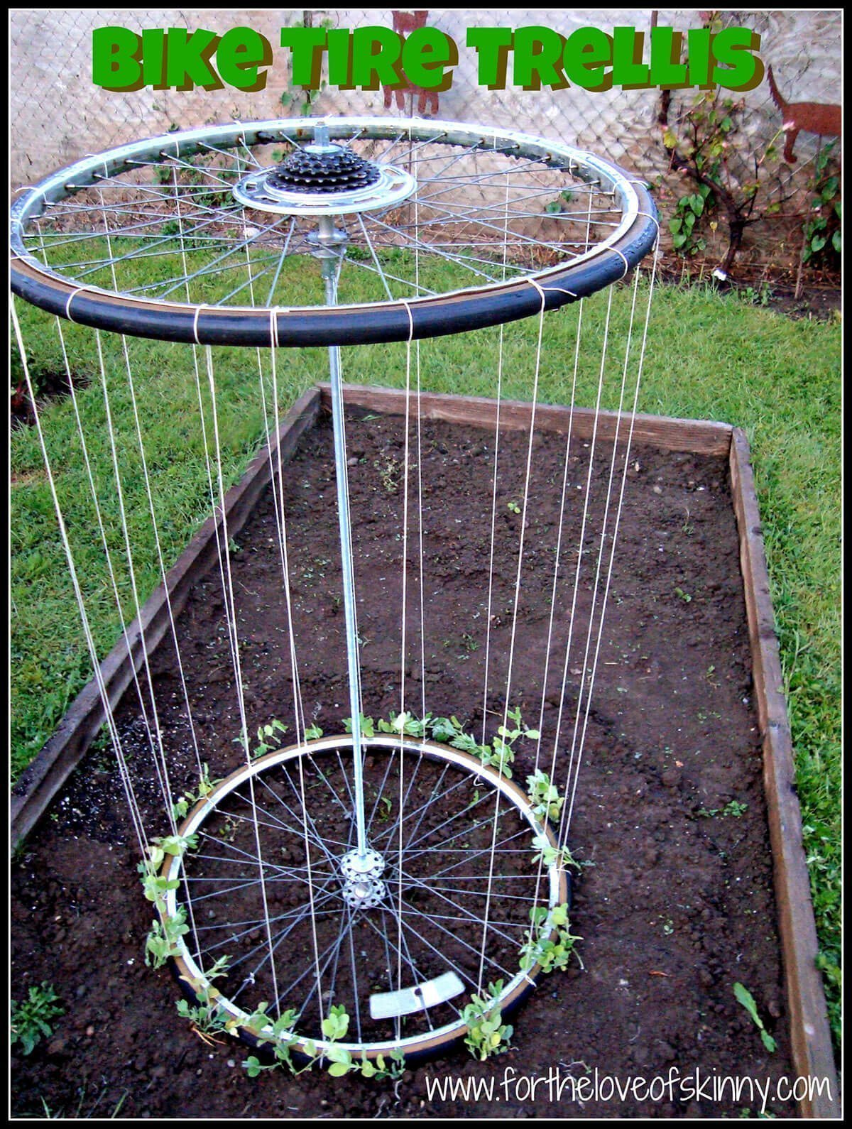 Recycled Bike Tire Garden Trellis