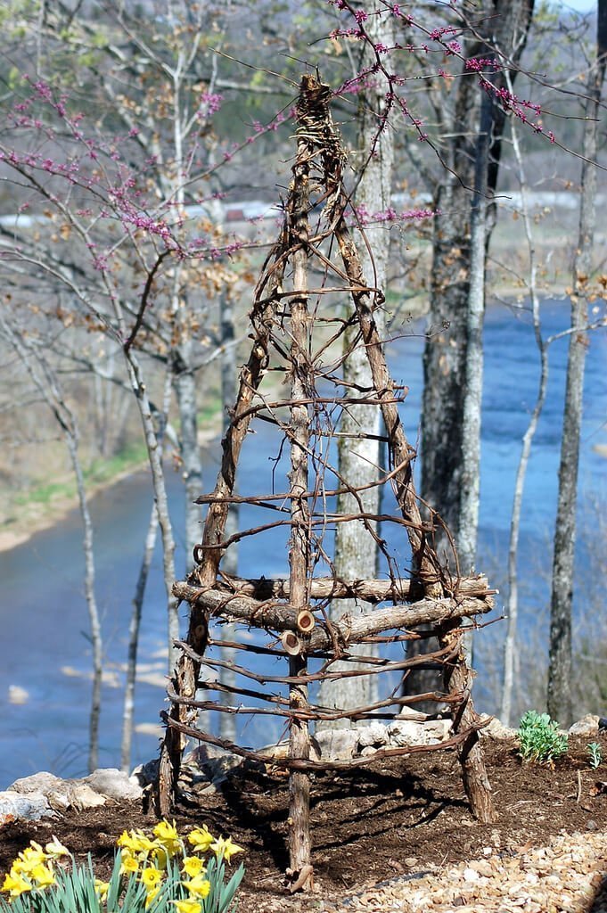 Rustic Wooden Climbing Bean Obelisk