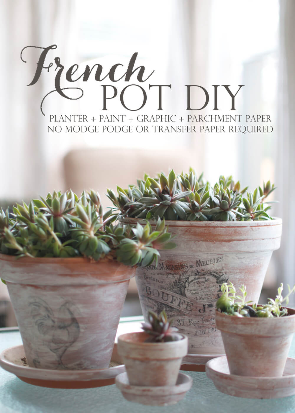 DIY Printed Graphics on Whitewashed Terracotta Pots