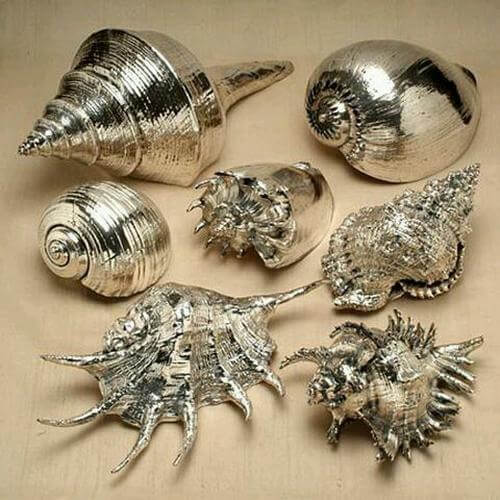 Seashells that Have Been Touched by Gold