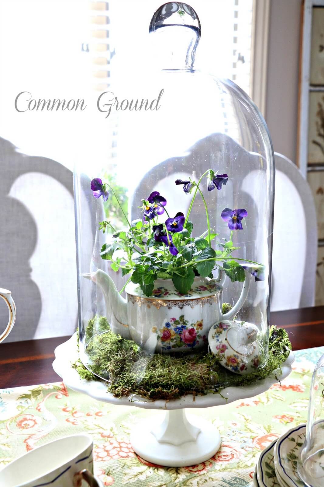 Sweet Teapot Planter Cloche Centerpiece