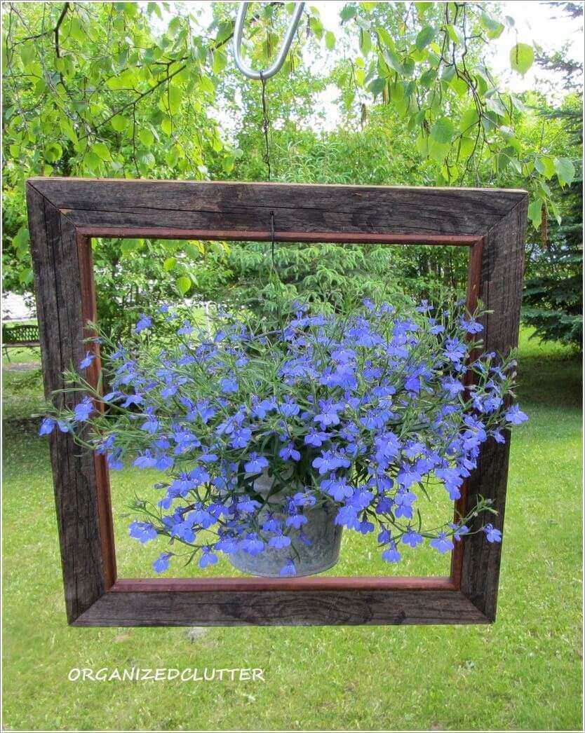 Perfectly Framed DIY Lobelia Planter