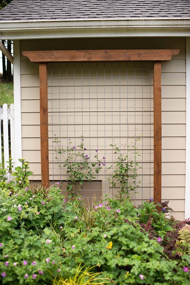 Simple and Stylish Garden Lattice