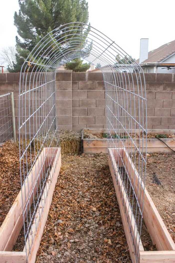 Simple DIY Planters and Arch Trellis