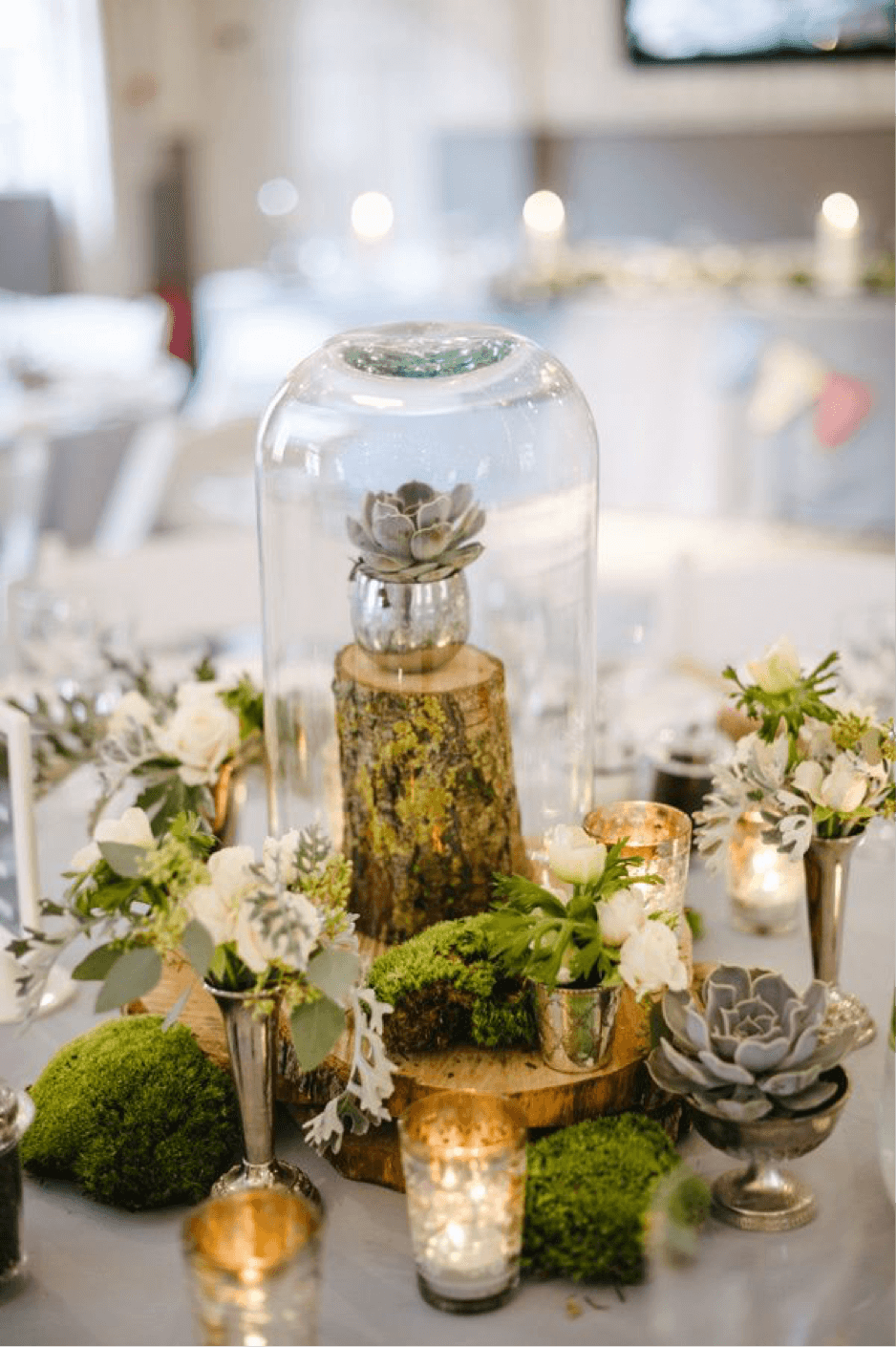 Woodland Inspired Miniature Vases and Domed Succulents Table Decor