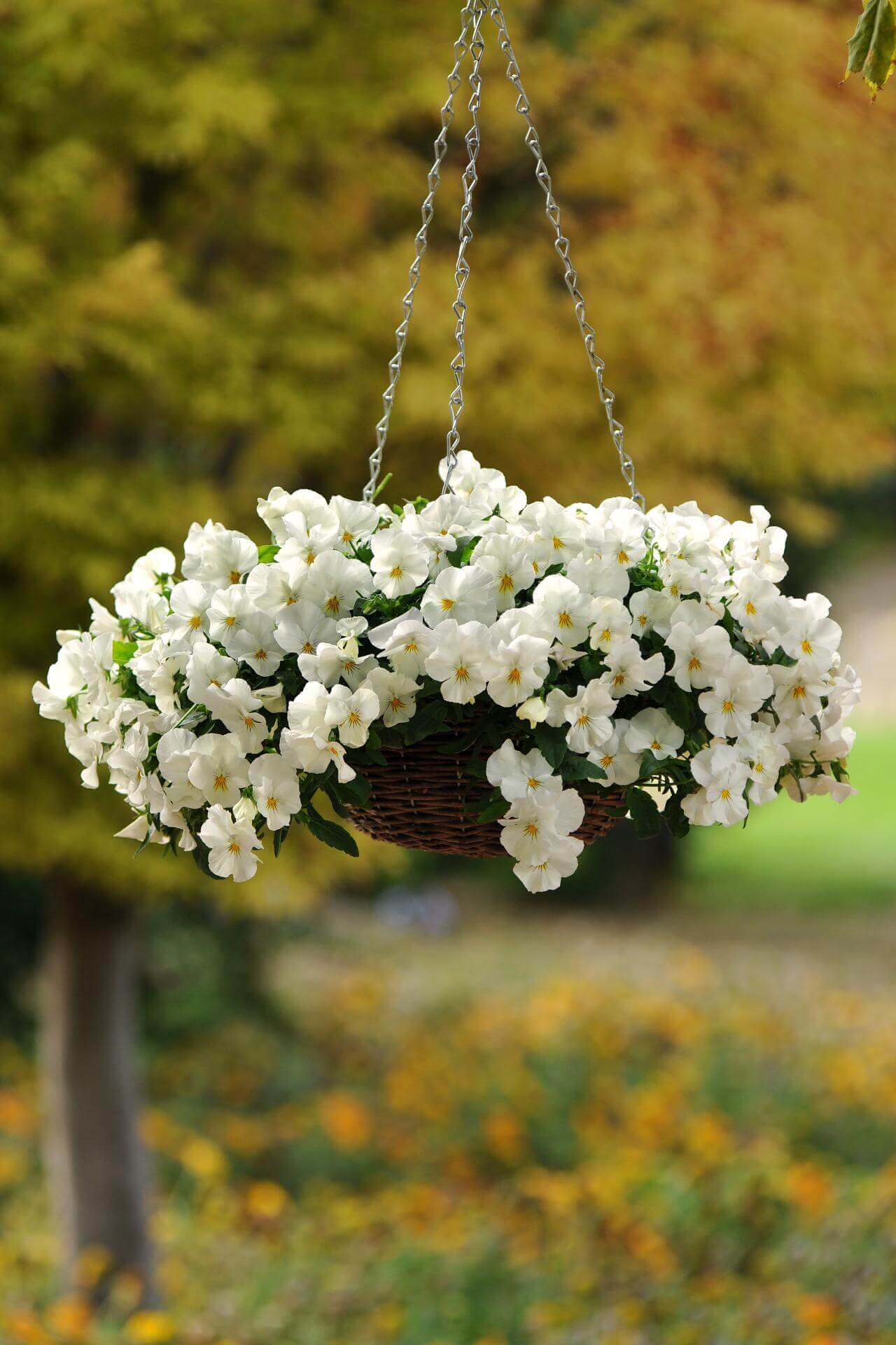 Sweetly Simple Woven Flower Basket