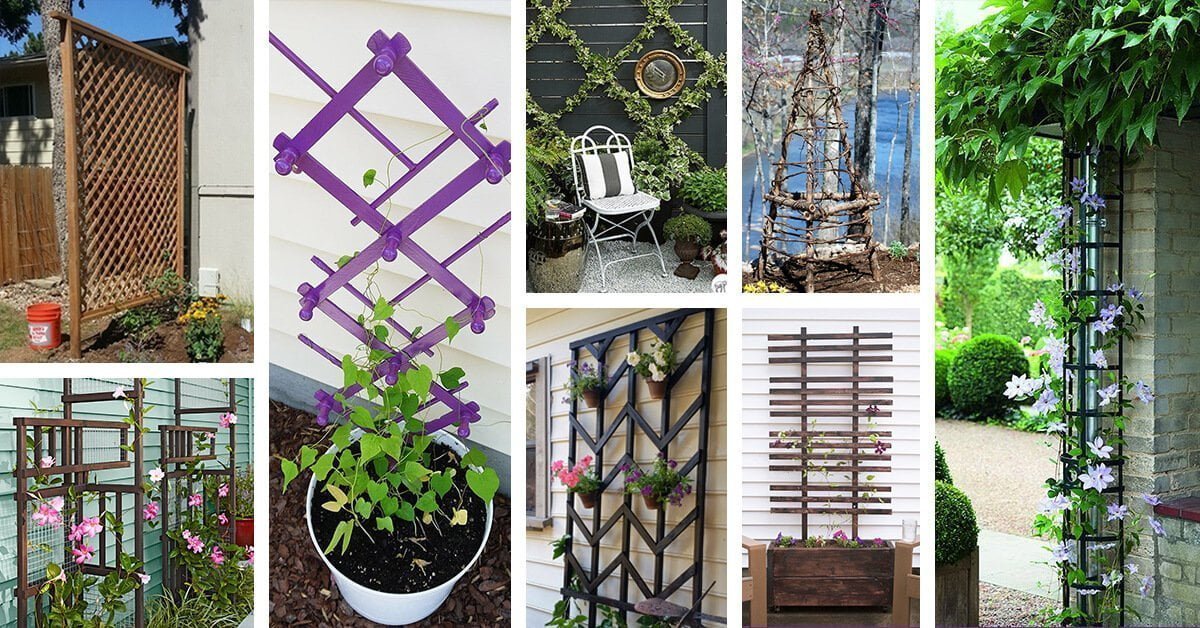 Featured image for “24 Easy DIY Garden Trellis Projects You Can Do This Weekend”