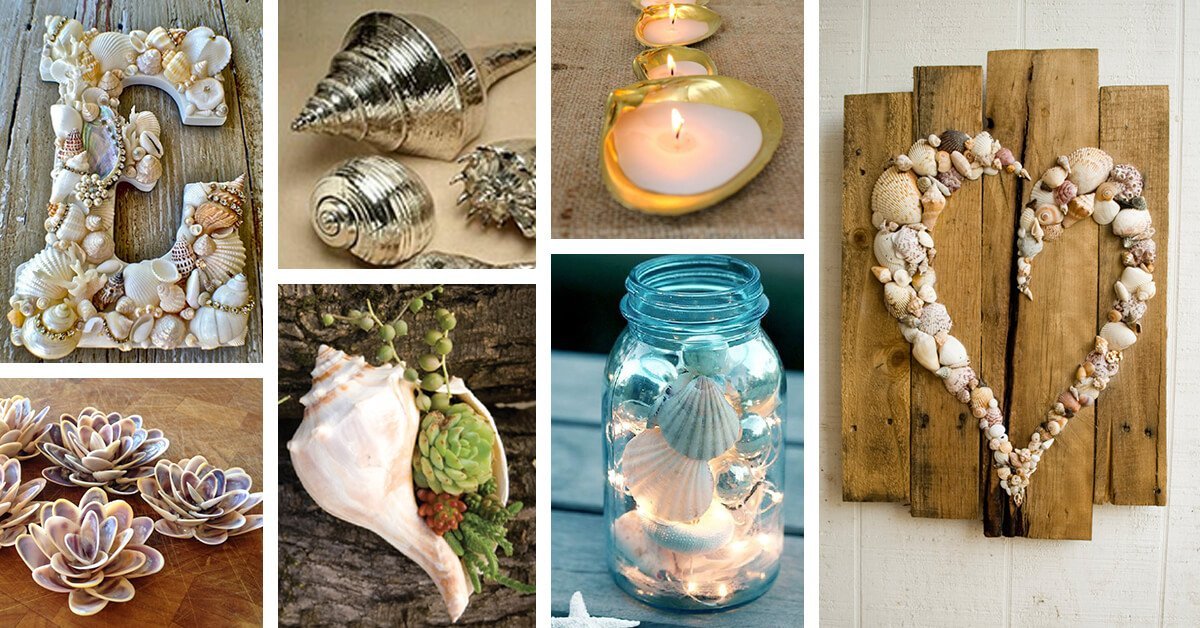 Featured image for “35+ Adorable DIY Shell Projects for Beach Inspired Decor”