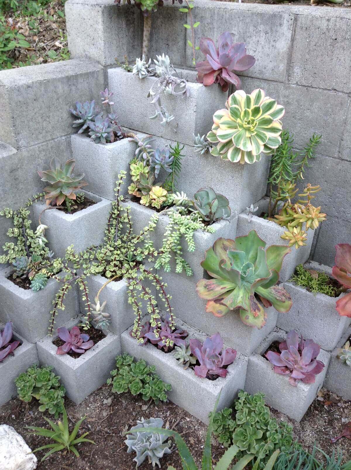 Cozy Corner Succulent Garden with Cinder Blocks