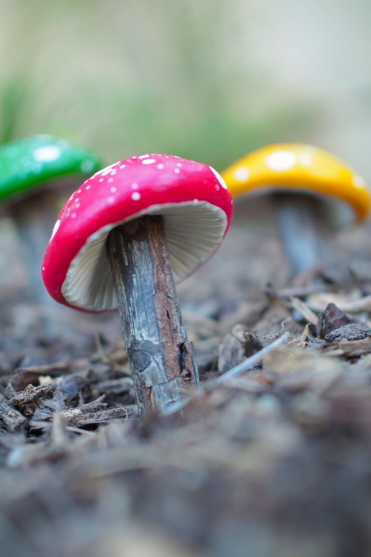 Enchanted Handcrafted Clay Toadstools