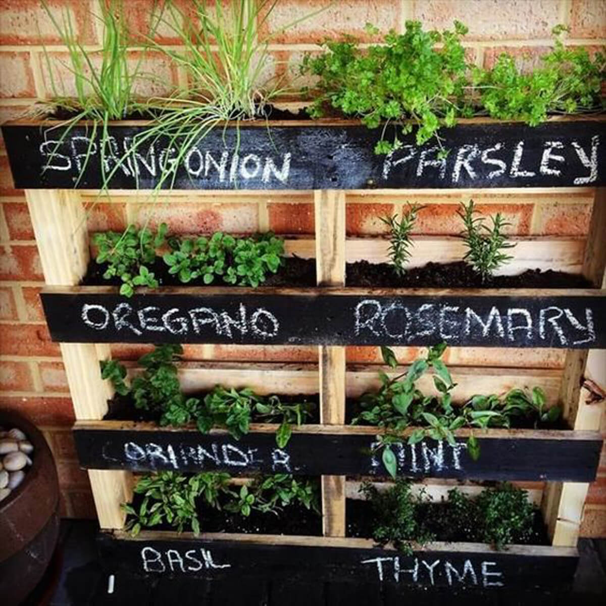 Stacked Wooden Shelves Herb Garden