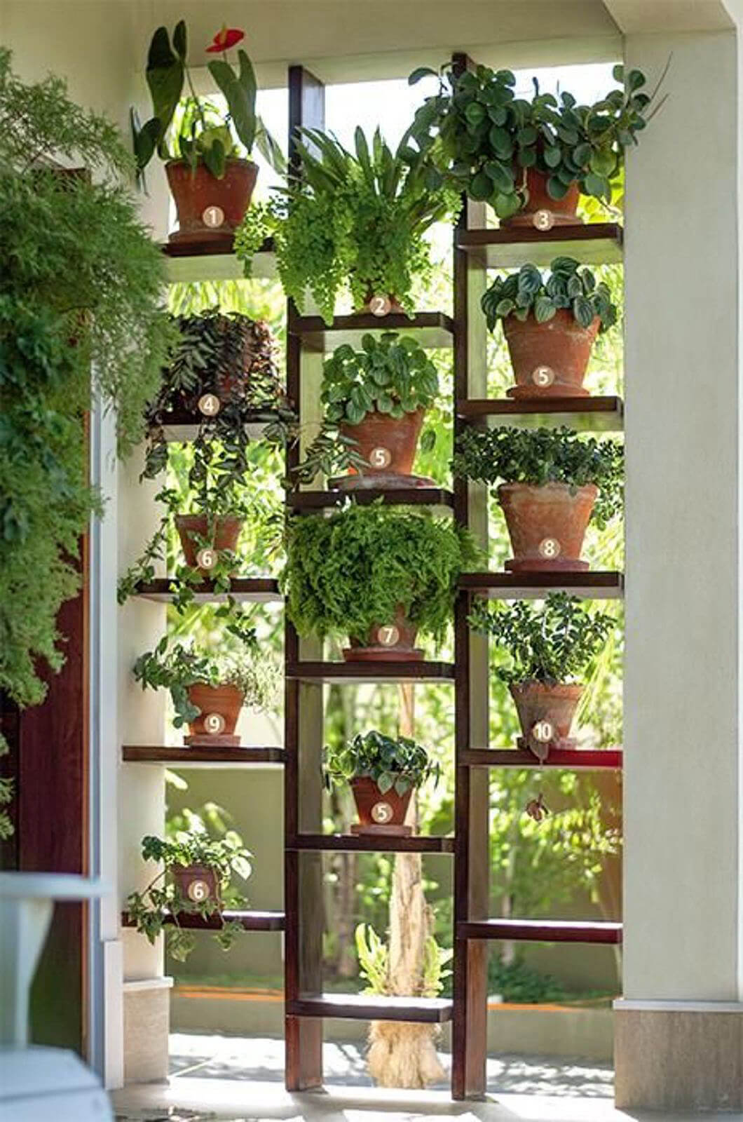 Ladder-Style Sunny Window Herb Garden