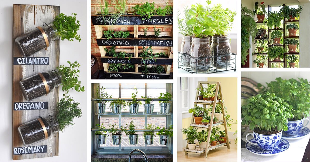 Featured image for “25+ Creative Herb Garden Ideas for Indoors and Outdoors”
