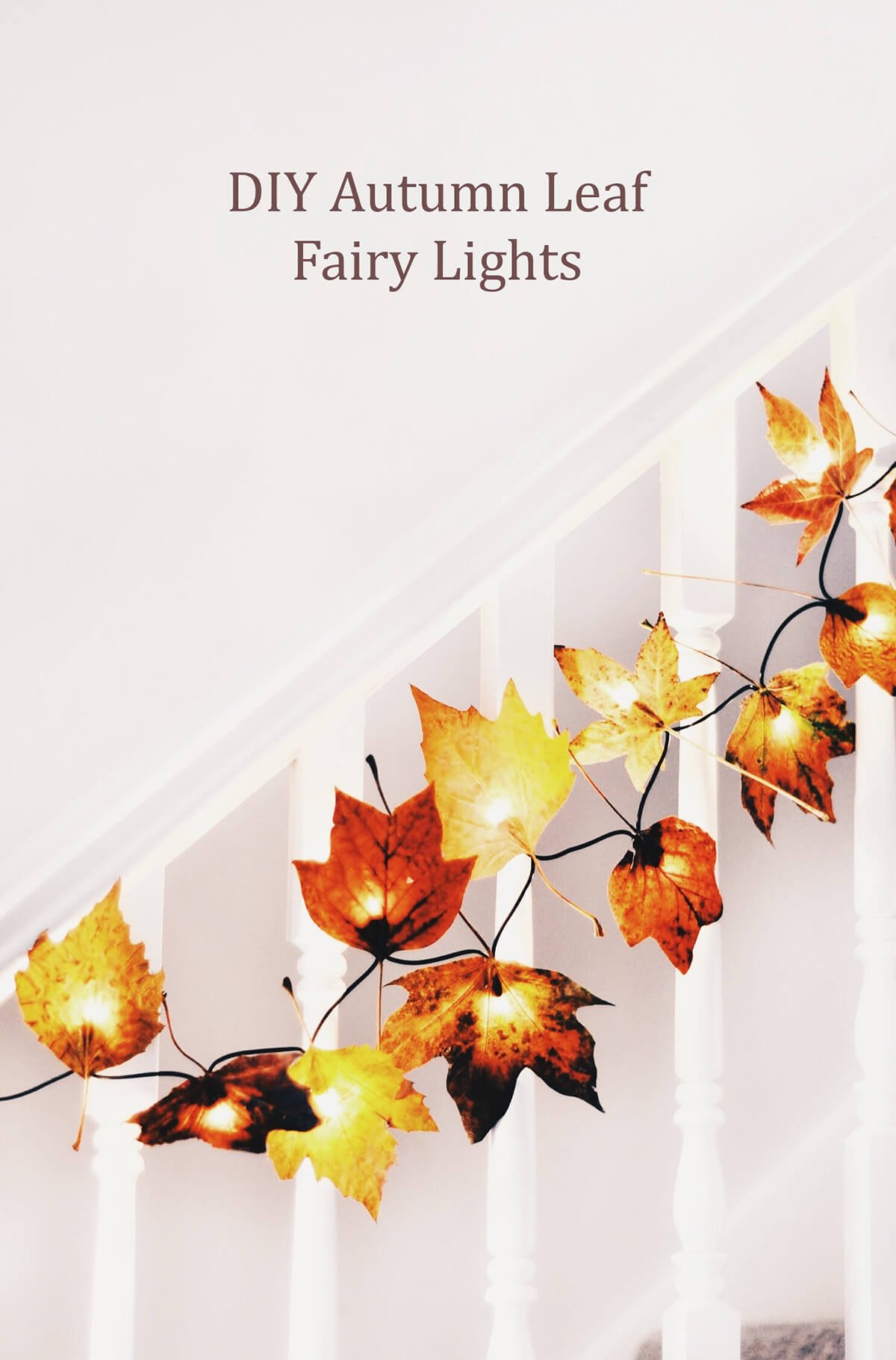 Enchanted Autumn Leaf Illuminated Garland