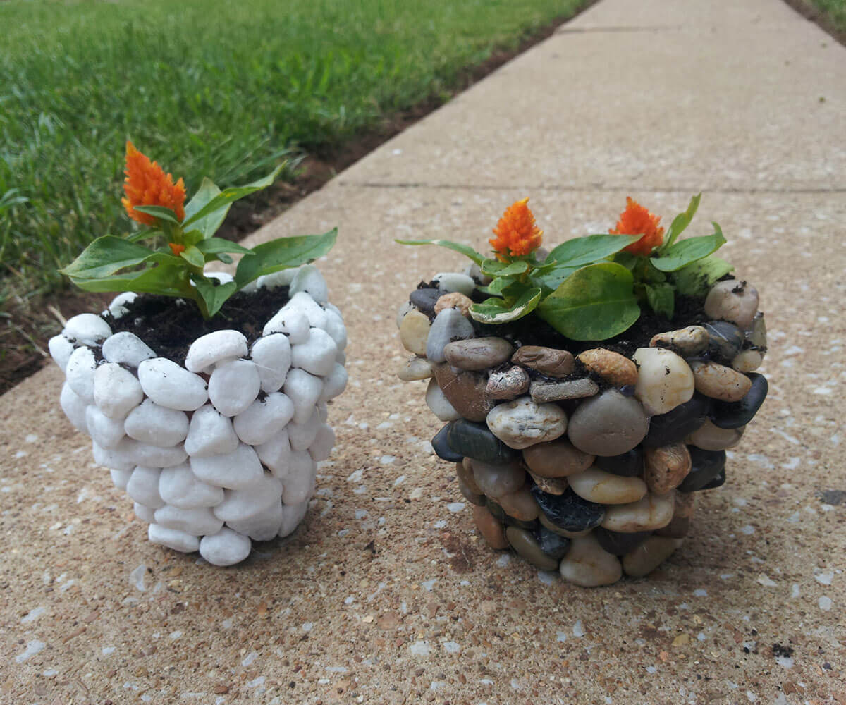 These Lovely Eye-catching Planters are Natural Beauties