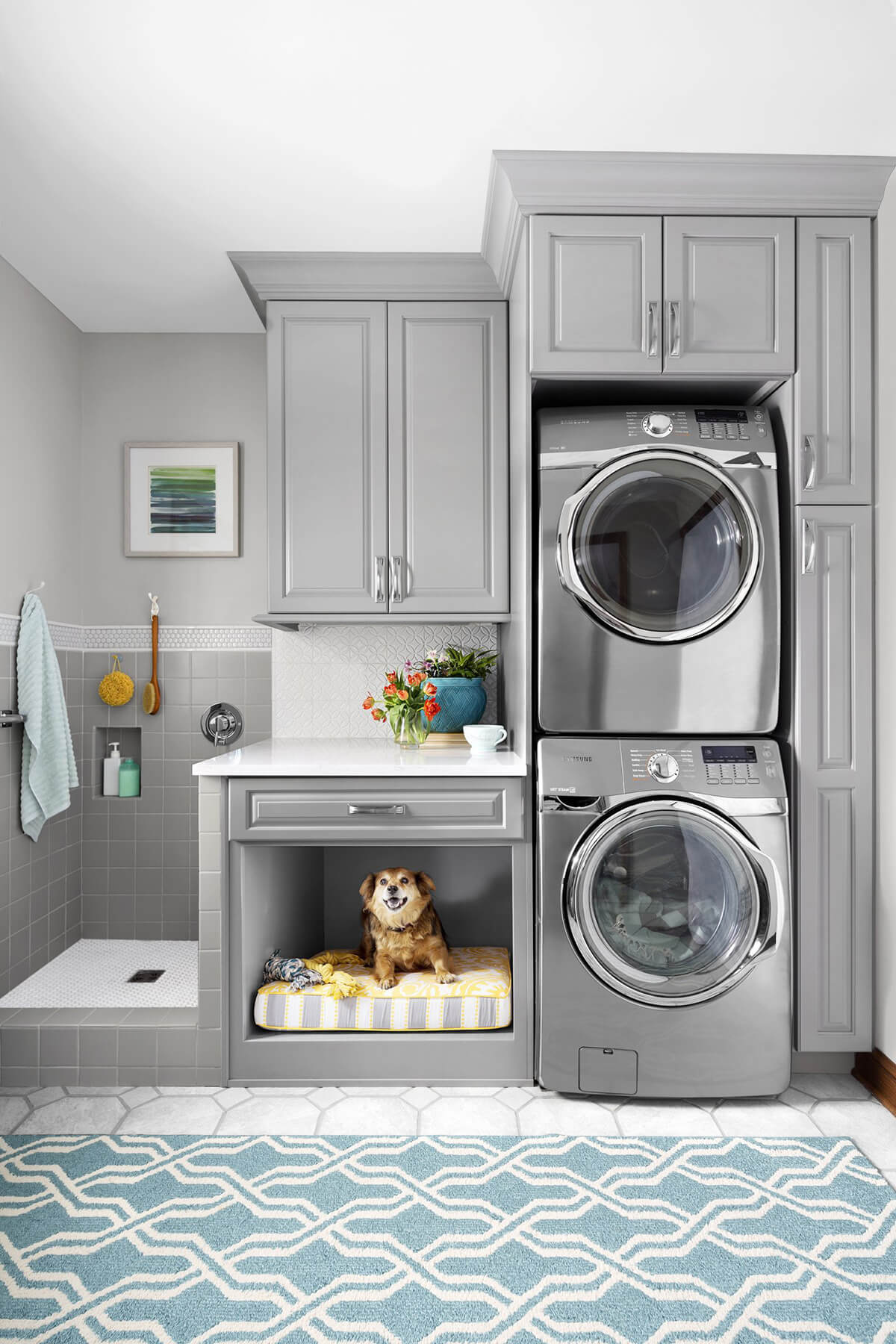 Clothes and Pet Cleaning Laundry Room